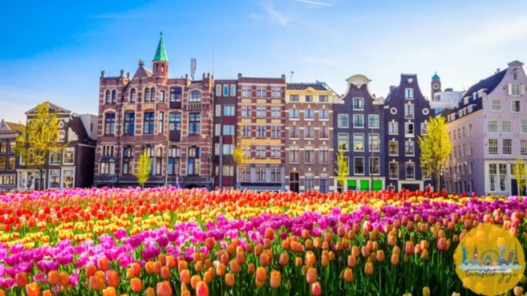 Amsterdam Gezi Rehberi
