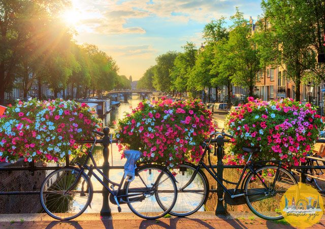 Amsterdam Gezilecek Yerler