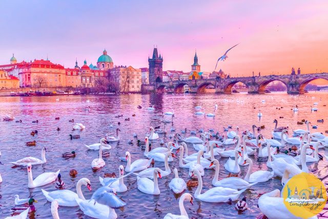 Prag Gezi Rehberi