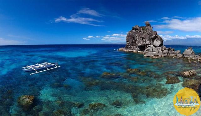 Filipinler Apo Adası